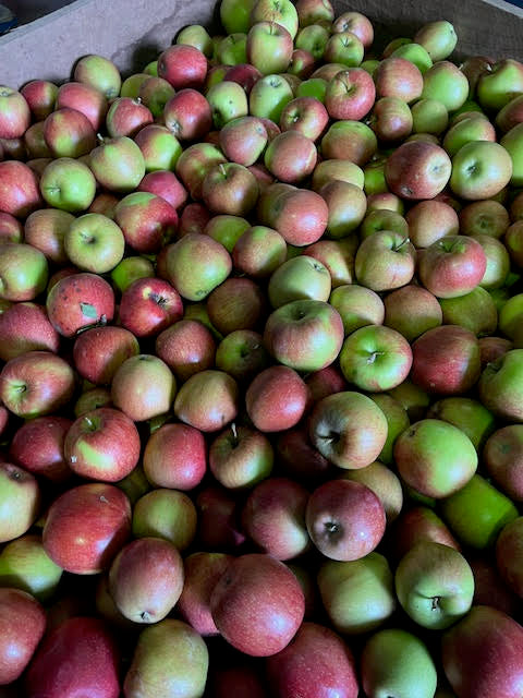 Apples (Braeburn) | 1kg