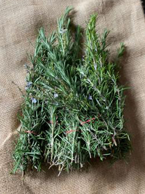 Herbs (Rosemary) | 1 bunch
