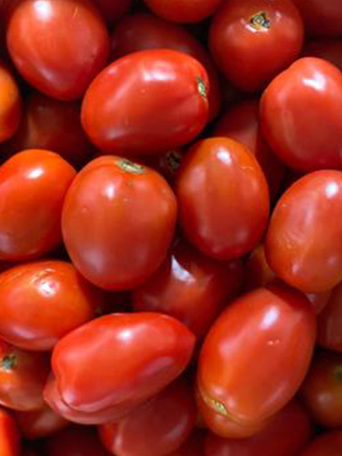 Tomato (Roma) | 1kg