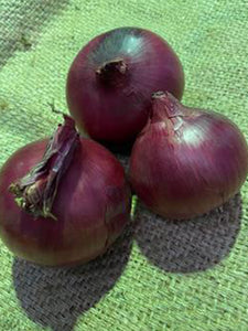Onions (Red) | 1kg