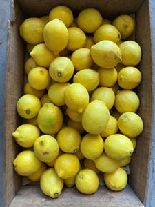 Lemons | 1 each