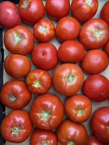 Tomato | 1kg