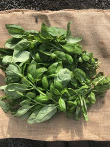 Herbs (Basil) | 1 bunch