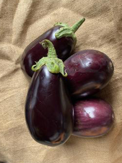 Eggplant | Each