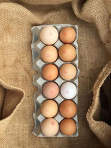 Pasture Raised Eggs | 1 Dozen