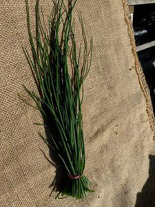 Herbs (Chives) | 1 Bunch