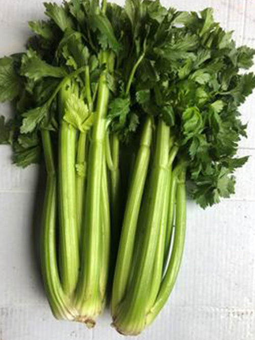 Celery | Half Bunch