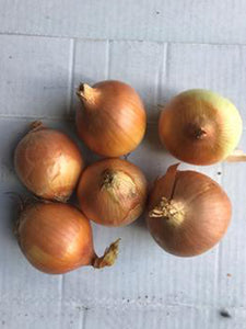 Onions (Brown) | 1kg