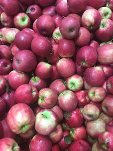Apples (Juicing) | 1kg