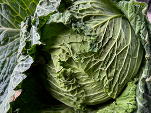 Cabbage (Savoy) | Half